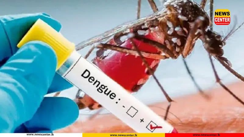 Dengue Prevention Week to commence islandwide today
