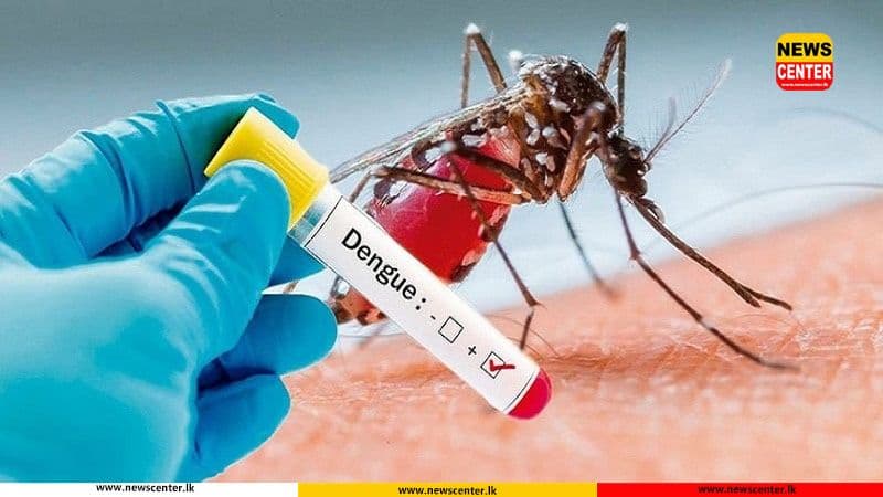 Sri Lanka's dengue cases surpass 59,000 so far this year