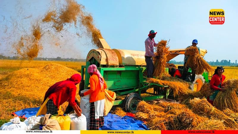 Paddy purchasing for 2026 Yala season begins today