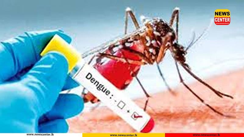 Record surge in dengue patients: Over 1,000 new cases reported yesterday
