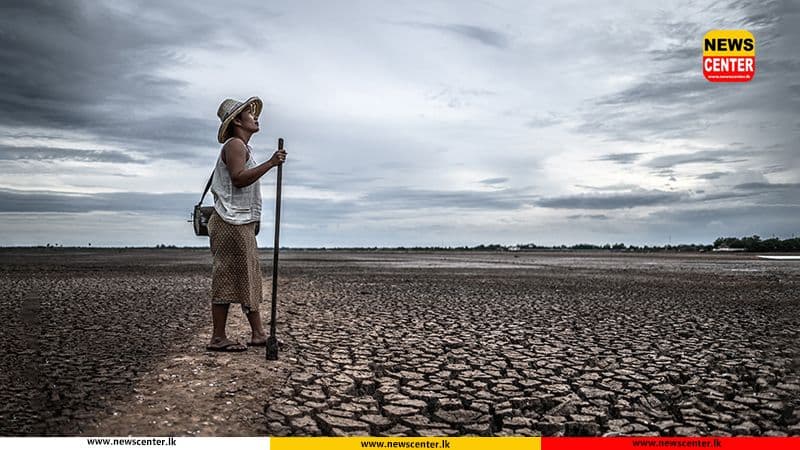 El Niño expected to intensify between July and September, WMO warns